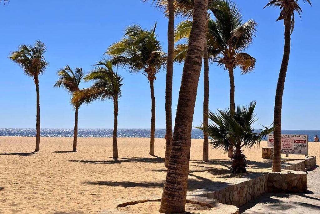 Casa Gallo, Heated Pool, Exclusive Beach & Great Location Cabo San Lucas Buitenkant foto